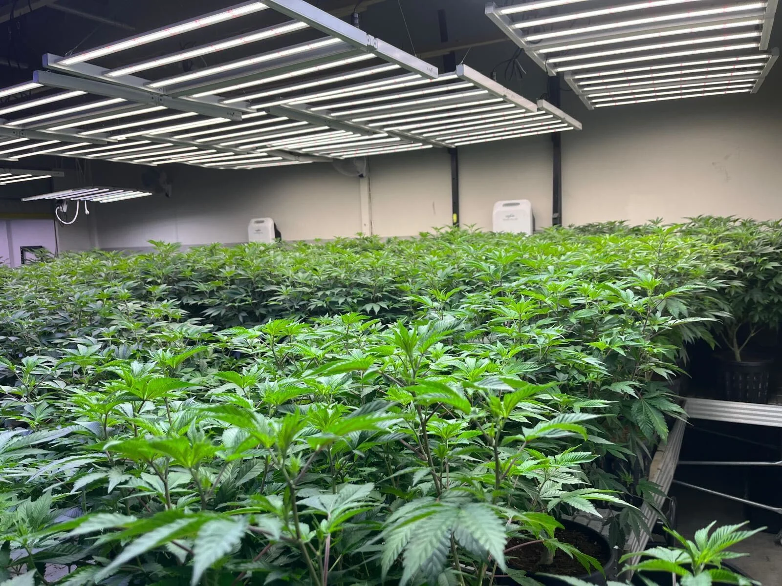 Precision propagation